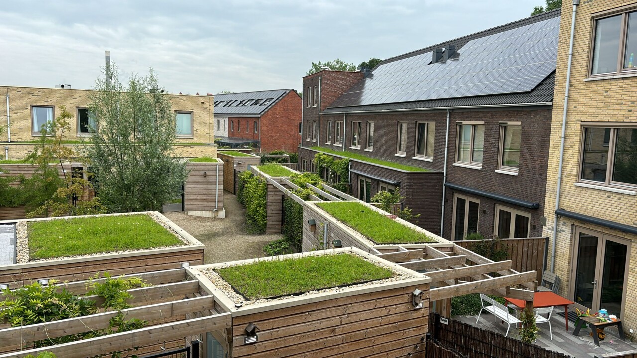 Dbw utrecht