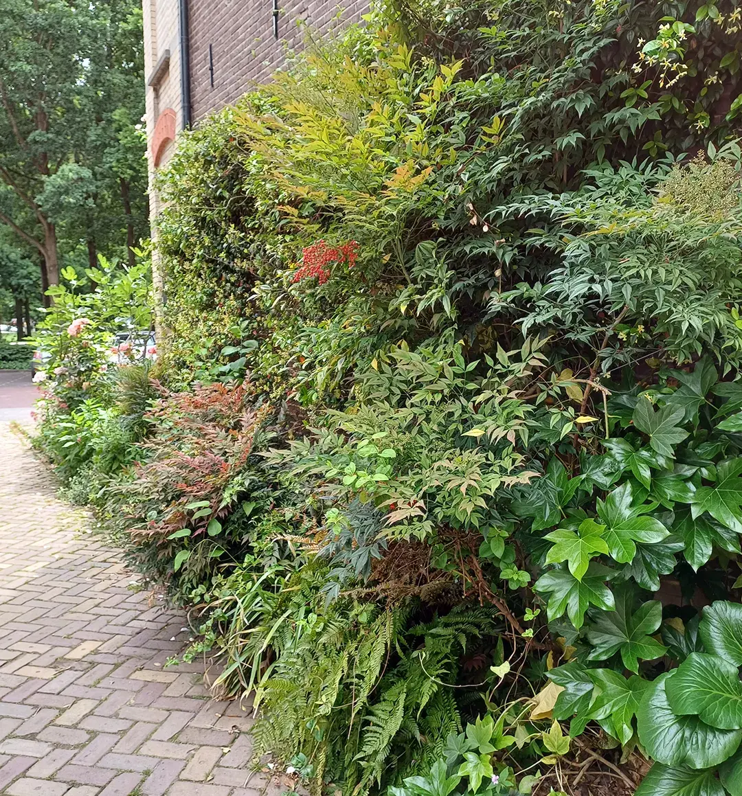 Sfeerfoto 2 wildr walls wildrgroup